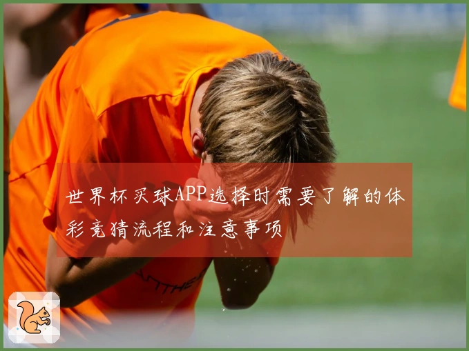 世界杯买球APP选择时需要了解的体彩竞猜流程和注意事项