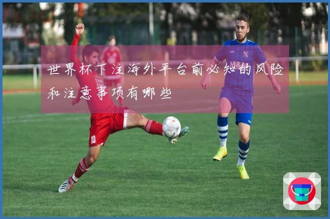 世界杯下注海外平台前必知的风险和注意事项有哪些