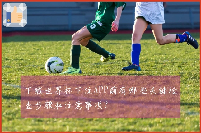 下载世界杯下注APP前有哪些关键检查步骤和注意事项？