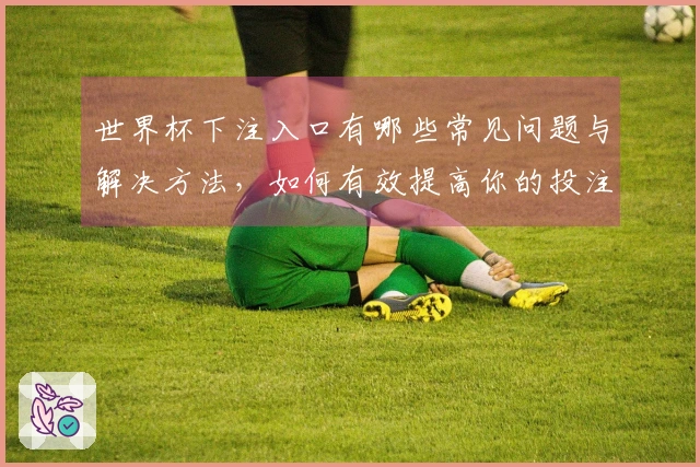 世界杯下注入口有哪些常见问题与解决方法，如何有效提高你的投注经验？