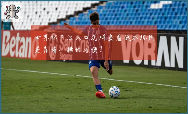 世界杯下注入口怎样查看返水规则更靠谱、操作方便？