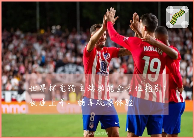 世界杯竞猜主站功能全方位指引：快速上手，畅享观赛体验