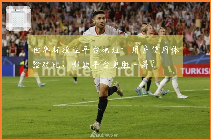 世界杯投注平台地址：用户使用体验对比，哪款平台更胜一筹？