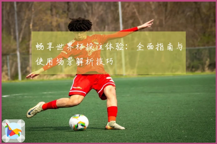 畅享世界杯投注体验：全面指南与使用场景解析技巧