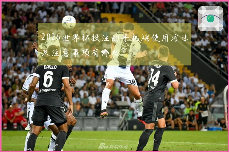 2026世界杯投注的手机端使用方法及注意事项有哪些？