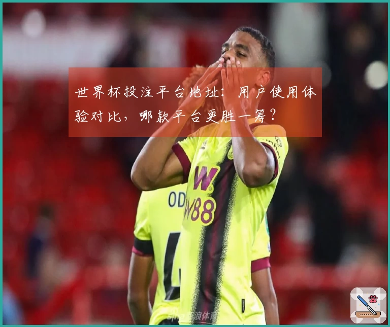 世界杯投注平台地址:用户使用体验对比,哪款平台更胜一筹?