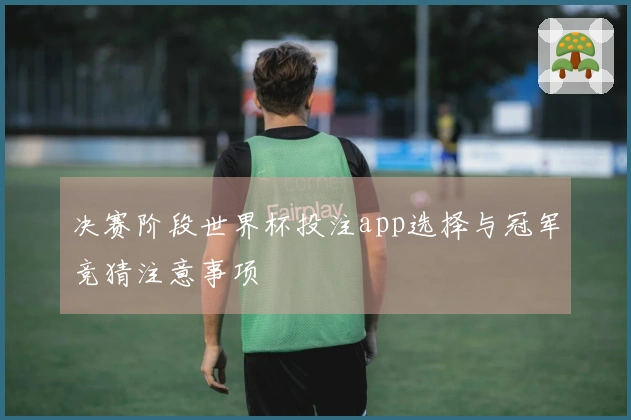 决赛阶段世界杯投注app选择与冠军竞猜注意事项
