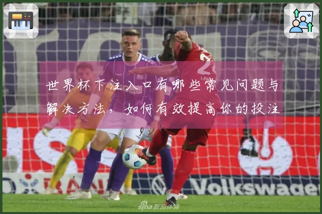 世界杯下注入口有哪些常见问题与解决方法，如何有效提高你的投注经验？
