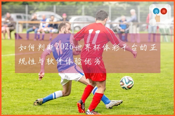 如何判断2026世界杯体彩平台的正规性与软件体验优劣