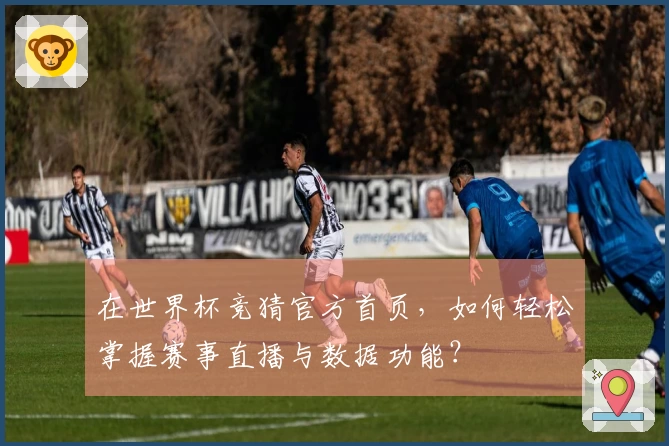 在世界杯竞猜官方首页，如何轻松掌握赛事直播与数据功能？