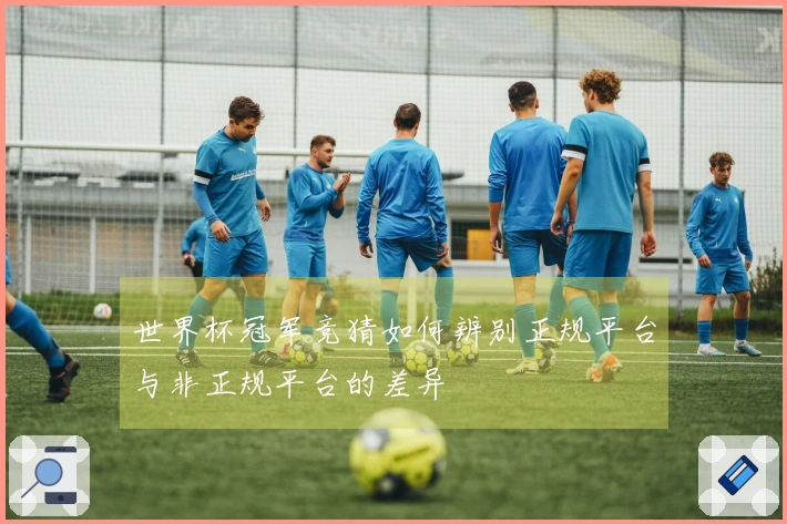 世界杯冠军竞猜如何辨别正规平台与非正规平台的差异