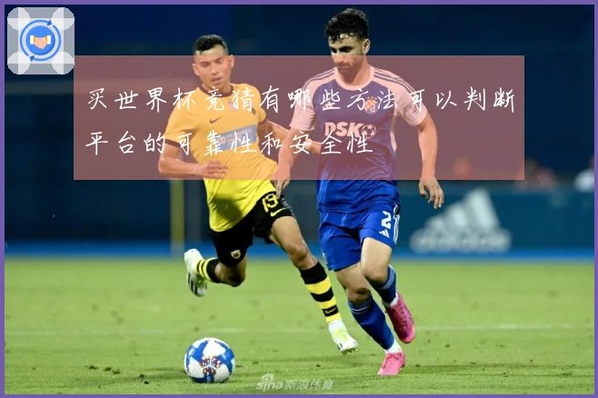 买世界杯竞猜有哪些方法可以判断平台的可靠性和安全性