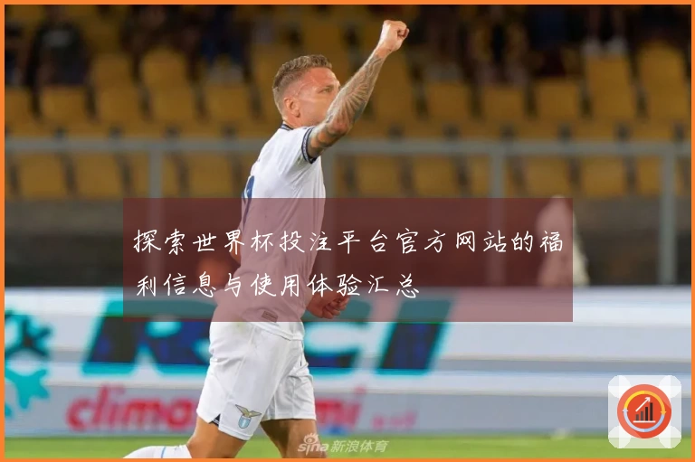 探索世界杯投注平台官方网站的福利信息与使用体验汇总