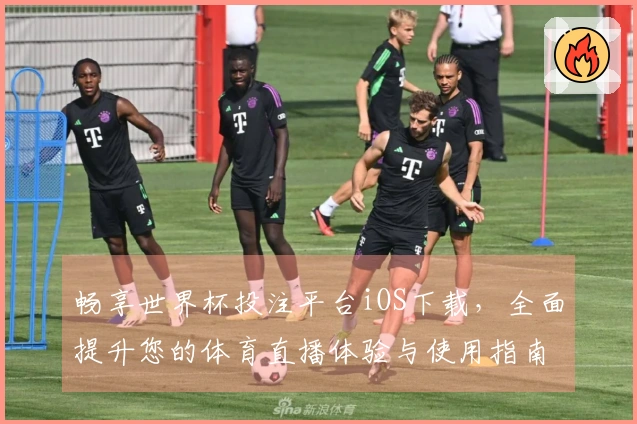 畅享世界杯投注平台iOS下载，全面提升您的体育直播体验与使用指南
