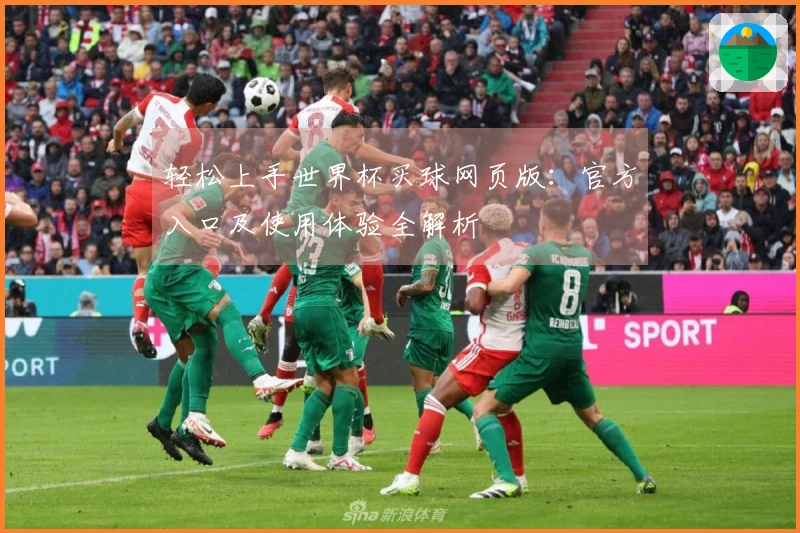 轻松上手世界杯买球网页版：官方入口及使用体验全解析