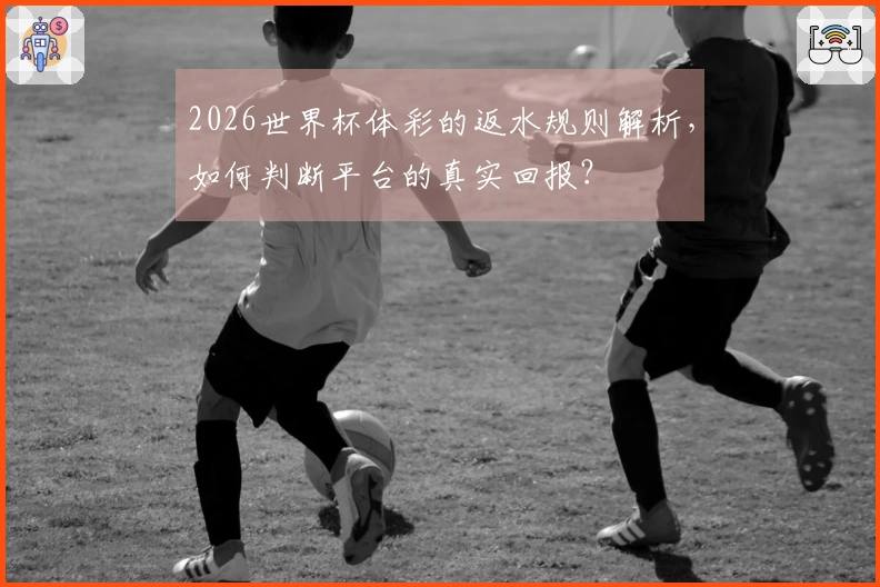 2026世界杯体彩的返水规则解析，如何判断平台的真实回报？
