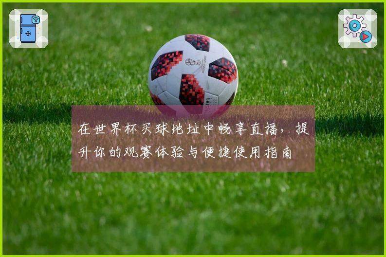 在世界杯买球地址中畅享直播，提升你的观赛体验与便捷使用指南