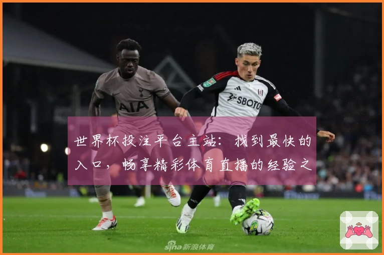 世界杯投注平台主站：找到最快的入口，畅享精彩体育直播的经验之谈