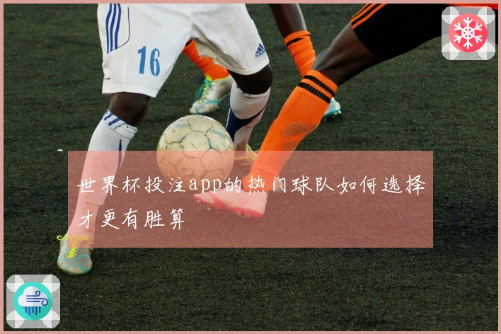 世界杯投注app的热门球队如何选择才更有胜算